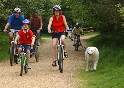 E-Bikes, Mountain Bikes, Scooters, etc